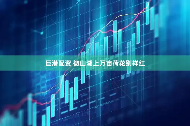 巨港配资 微山湖上万亩荷花别样红