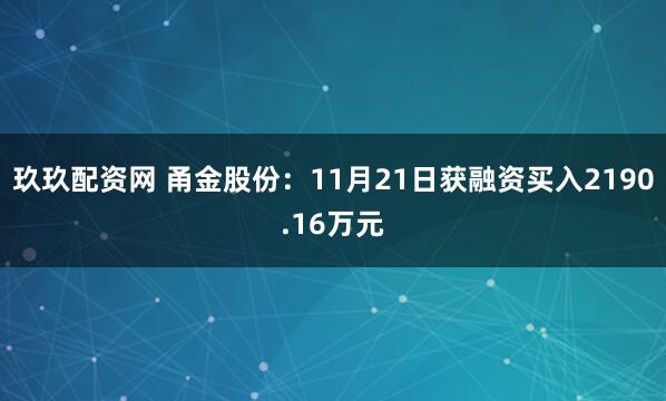 玖玖配资网 甬金股份：11月21日获融资买入2190.16万元